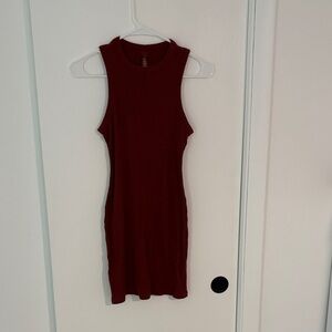 SKIMS Burgundy Mini Dress